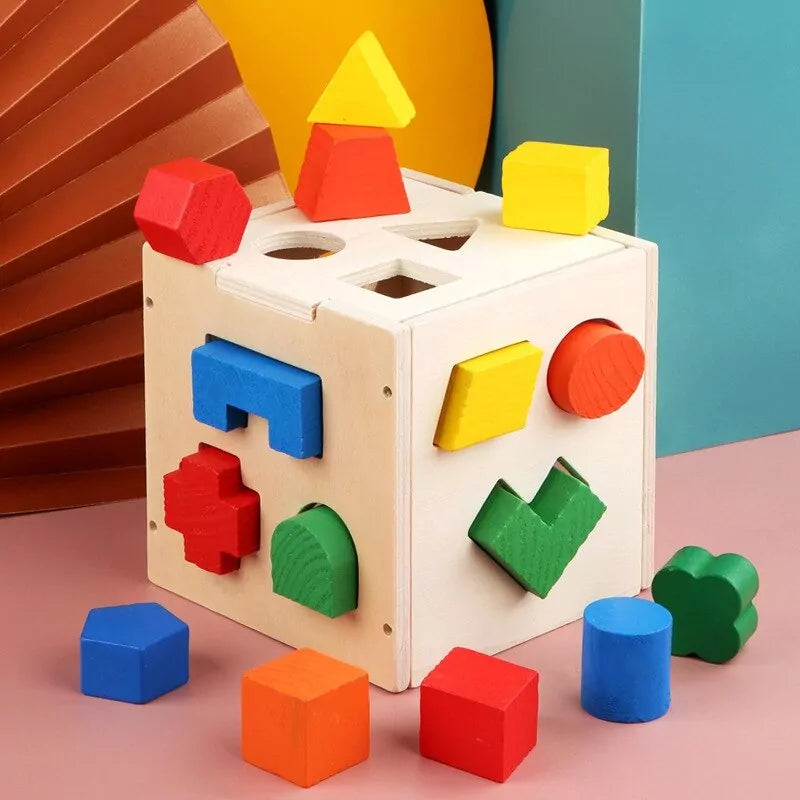 Fifteen Hole Shape Intelligence Box | Wooden Educational Toy for Kids