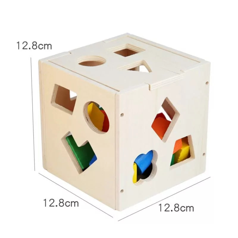 Fifteen Hole Shape Intelligence Box | Wooden Educational Toy for Kids