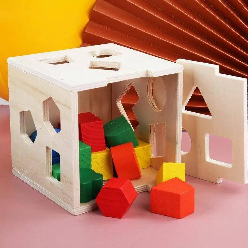 Fifteen Hole Shape Intelligence Box | Wooden Educational Toy for Kids